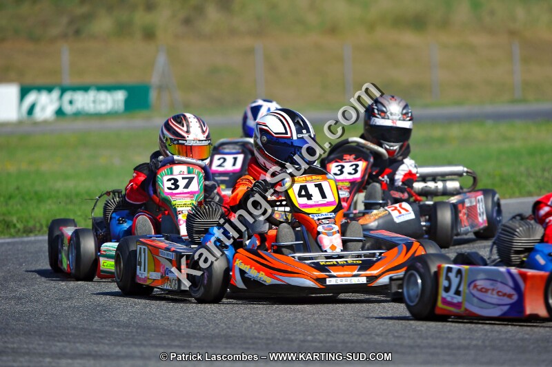 DSC_ (1240).jpg